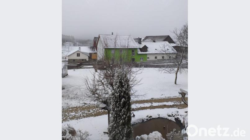 Blick aus dem Fenster am Dienstagmorgen: Hermannsreuth bei Bärnau Bild: Marianne Wolfrum