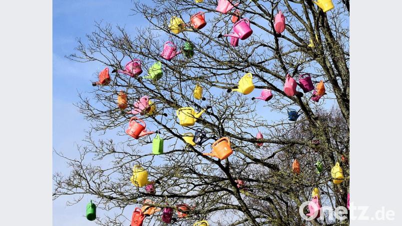 Seltsame Blüten sind es schon. Entstanden sind sie im Schneegestöber wie aus dem Nichts heraus in den vergangenen Tagen. Nachgeholfen haben freilich die Mitarbeiter des gemeindlichen Bauhofes, dass dieser Blickfang jetzt so da steht und wohl noch das eine oder andere Schneegestöber aushalten muss! Bild: bö