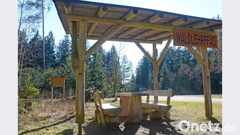 Die Deutsche Waldjugend Eschenbach möbelt den Walderlebnispfad „Holzweg“ bei Eschenbach auf. Barfußpfad, Floßweiher oder Holztelefon sollen wieder ihren alten Glanz zurückerhalten. Ein zweiter Erlebnispfad entsteht ebenfalls mit Unterstützung des Naturparks im Kainzbachtal bei Irchenrieth. Bild: Gabi Schönberger