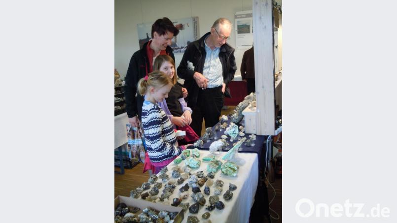 Groß und Klein sind fasziniert von den Schönheiten der Steine. Bei der Mineralienbörse im Geo-Zentrum an der KTB gibt es am Sonntag eine reiche Auswahl. Archivbild: wrt