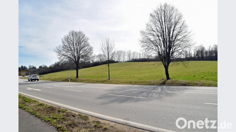 Aus dem Autohof auf diesem Grundstück im Gewerbegebiet Krötensee II wird vorerst wegen des felsigen Untergrund nichts. Bild: Andreas Royer
