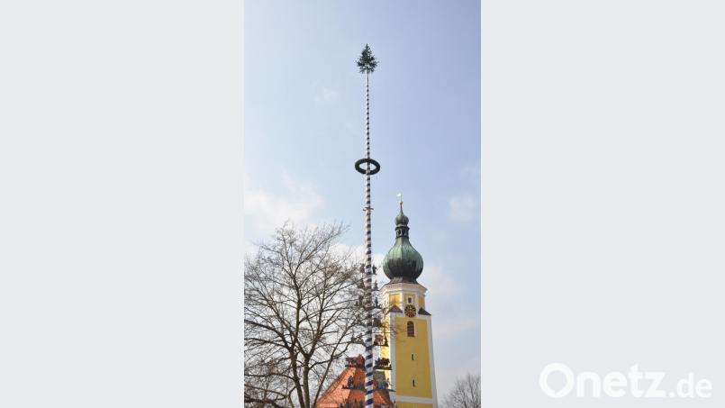 Aus dem Marktbild ist der OWV-Zunftbaum nicht mehr wegzudenken. Die Frage, ob er noch ein Jahr stehenbleiben kann oder aus Sicherheitsgründen bereits in diesem Jahr umgelegt werden muss, beschäftigt den Vorstand. Bild: es