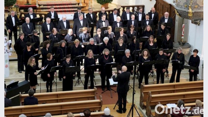 Der überregionale Chor mit Mixtura Cantorum im Fränkischen Sängerbund begeistert die Besucher in der Neustädter Stadtpfarrkirche. Bild: hi