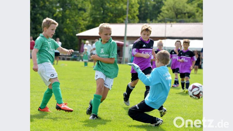 Geht es nach den Plänen des BFV, gibt es bei den jüngsten Fußballern bald keinen Torhüter mehr. Bild: zg