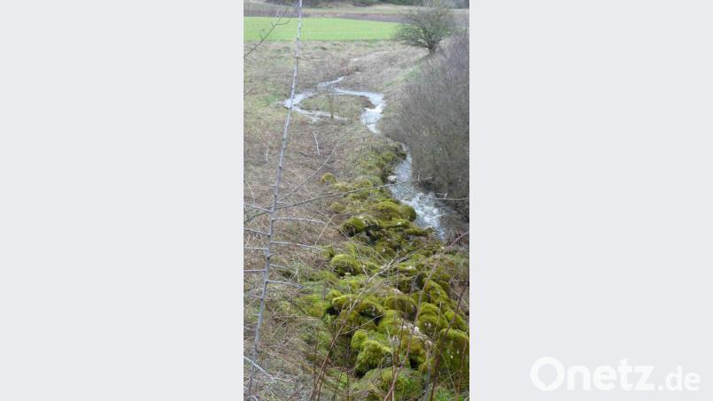 Nur nach heftigen Regenfällen strömt das Wasser in kleinen Bächen zum Schelmbachponor. Bild: wsl
