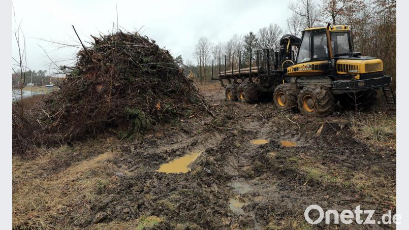 Um den Wald am Rande des Baugebiets für die Neue Mitte hatte es hitzigen Streit gegeben: Viele Bürger hätten ihn gerne erhalten gesehen. Inzwischen sind die Bäume gefällt. Bild: Wolfgang Steinbacher