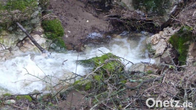 Während der Schneeschmelze oder auch nach Starkregen bietet der Schelmbach- oder Sportplatzponor nordwestlich von Königstein ein grandioses Naturschauspiel. Am Fuß einer zerklüfteten Felswand in einer etwa sieben Meter tiefen Senke verschwinden auch große Wassermengen zügig im Untergrund in Richtung Pegnitz. Bild: wsl