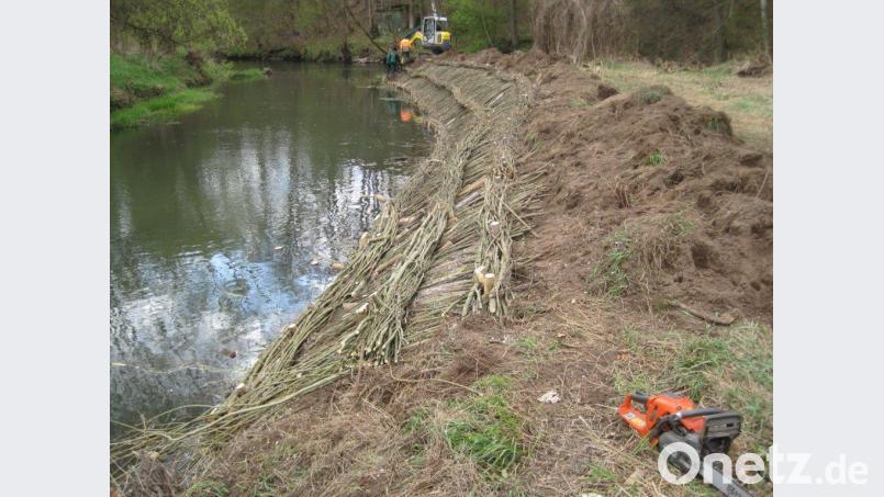 Die Bündel aus Weidenzweigen werden entlang der Uferböschung in Gräben drapiert und mit Erde bedeckt. Wenn sie wurzeln und austreiben bilden sie unter anderem einen natürlichen Uferschutz. Bild: exb/Wasserwirtschaftsamt Weiden