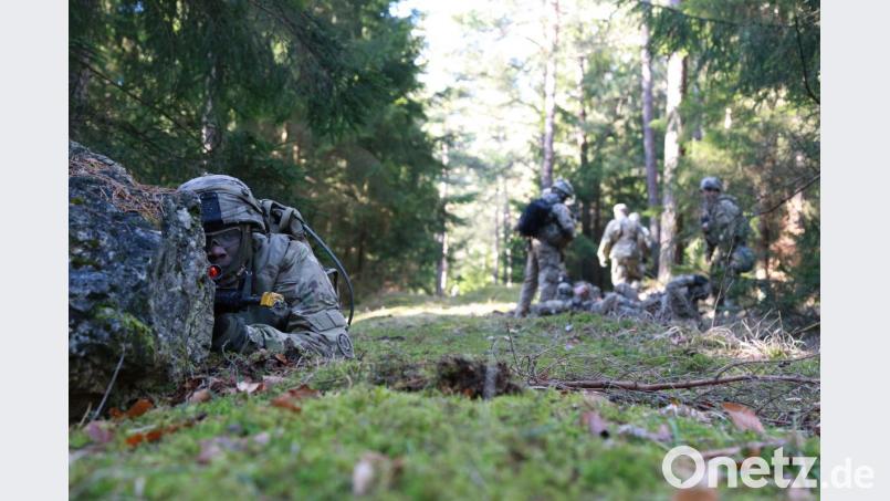 Ein Bild von &quot;Allied Spirit&quot; IX. Schon im Vorjahr waren mehrere Tausend Soldaten nach Hohenfels gekommen, um gemeinsam zu üben. Bild: Hayden Allega/US-Armee