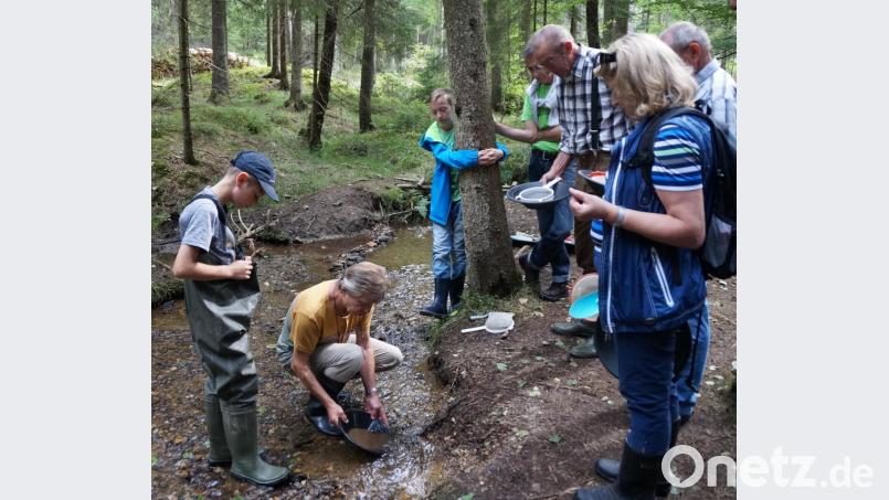 Goldwaschen ist eine gerne gebuchte Attraktion. Den ehrenamtlichen Goldwäschern gebührt Dank. Eine besondere Herausforderung für sie war der heiße Sommer. Archivbild: weu