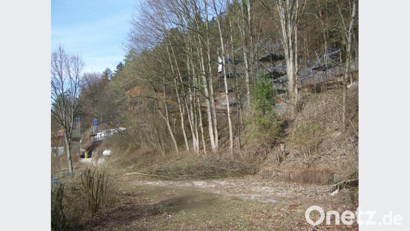 Zwischen den Bäumen sind die Klettergerüste zu erkennen, die nach der Ansicht von Gemeinderäten zu nahe am Freibadgelände stehen könnten. Das Landratsamt soll über deren nachträgliche Genehmigung entscheiden. Bild: rrd