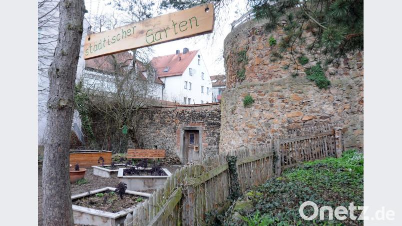 Die Stadt bewirtschaftet diverse Grünflächen. Bestes Beispiel ist der städtische Garten an der Stadtmauer im Max-Reger-Park. Bild: Stephan Huber