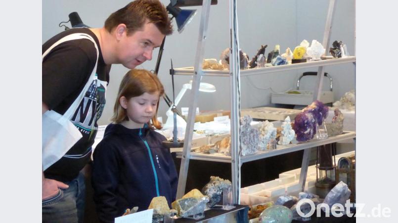 Mineralien und Fossilien faszinieren Jung und Alt. Auch Kinder zeigen Interesse an der Sammlerbörse. Bild: fsb