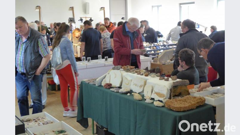 Großer Andrang an den Ständen. Bild: fsb