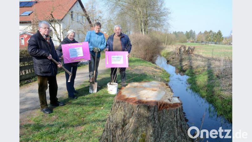 Karl Zitzmann (rechts) hat seine Nachbarn ordentlich in den April geschickt. Mit dieser Aktion wollte er auf die Rodung der Bäume am Stadtbach in Weiden aufmerksam machen. Bild: Gabi Schönberger