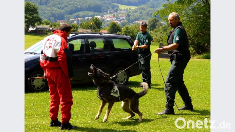 Um für ihr Einsatzspektrum gerüstet zu sein, müssen die Vierbeiner und Polizeibeamten der Hundestaffel regelmäßig trainieren. Eine solche Übung hat am Dienstag für Aufsehen in Oberviechtach gesorgt. Unser Symbolbild zeigt eine Hundeausbildung beim Zoll. Bild: lev