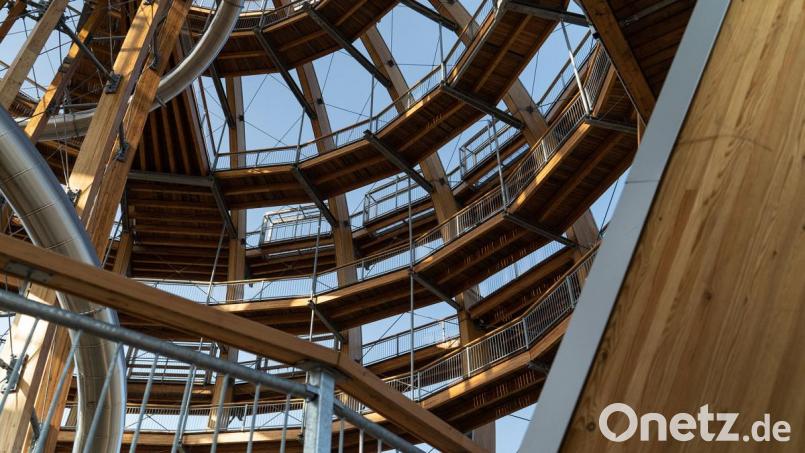 "Erlebnisholzkugel" in Steinberg am See Bild: gld