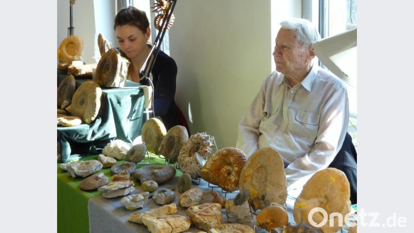 Eine reiche Auswahl an Fossilien. Bild: fsb