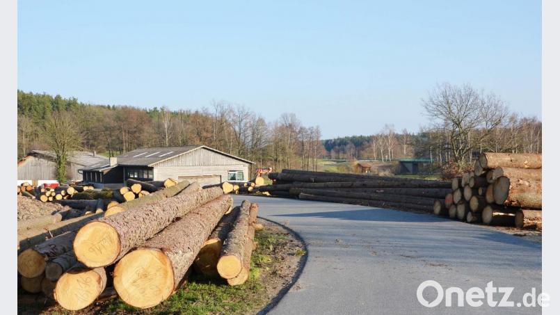 &quot;Auf dem Holzweg.&quot; Bild: ü