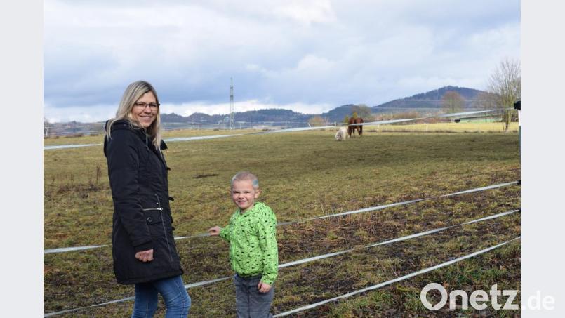 Nachmittags spaziert Tagesmutter Claudia Neumann mit dem aufgeweckten Marvin gerne zu den Tieren im Dorf. Neben Katzen, Ziegen, Pferd Django und Mini-Pony Bibo (Hintergrund) besuchen sie auch Kühe und Schwäne. Bild: szl