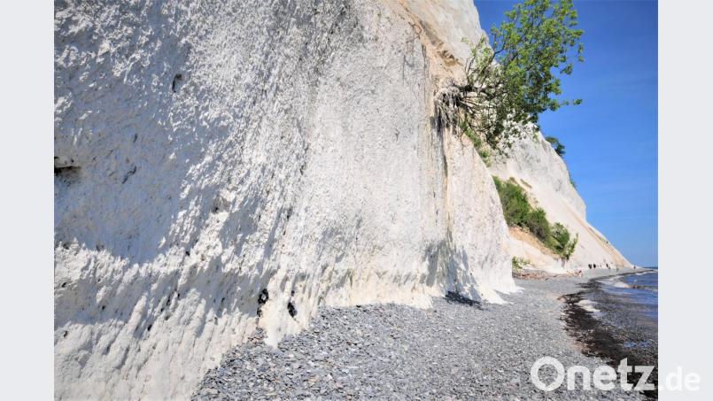 Die Kreideküste bei Møns Klint. Bild: exb/Franz Schaller