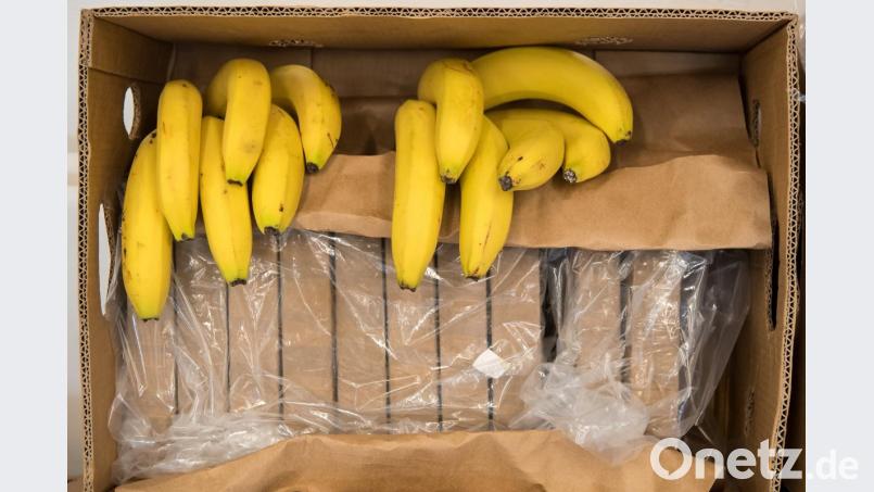 Mai 2018: Bei einer Polizeipressekonferenz in München wird in Bananenkisten verstecktes Kokain präsentiert. Bild: Peter Kneffel