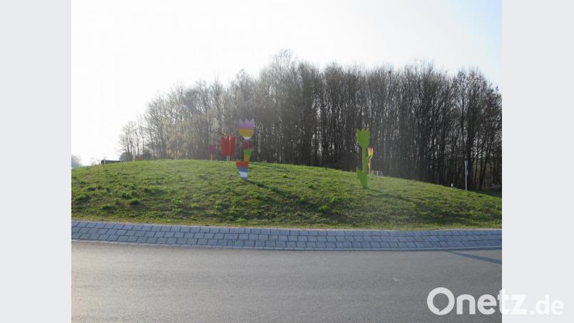Nicht ablenken lassen dürfen sich die Verkehrsteilnehmer von der bunten Tulpenpracht auf dem Kreisverkehr. Bild: jzk
