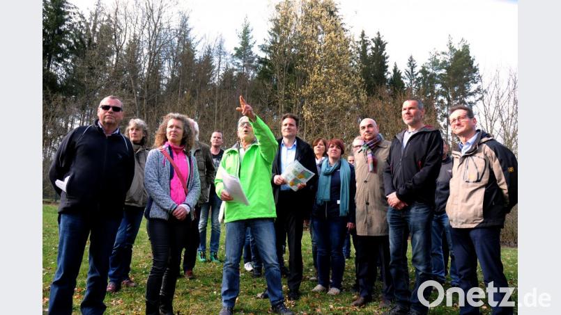 Die drei Landtagsabgeordneten der Grünen, Jürgen Mistol, Anna Toman und Fraktionsvorsitzender Ludwig Hartmann (ab Dritter von rechts) beim Ortstermin in der Wagensaß. Bild: Stephan Huber