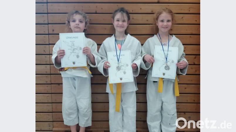 Erfolgreich schnitten die jungen Judokas des SV Tiefenbach beim Turnier in Vohenstrauß ab. Bild: exb