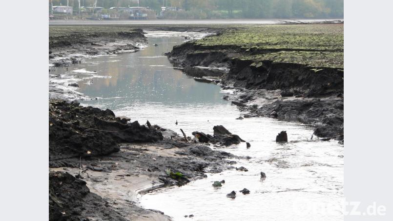 Nach dem Absenken des Rußweihers und dem anschließenden Ablassen des Obersees werden die Schlammablagerungen im westlichen Teil des Rußweihers deutlich. Bild: rn