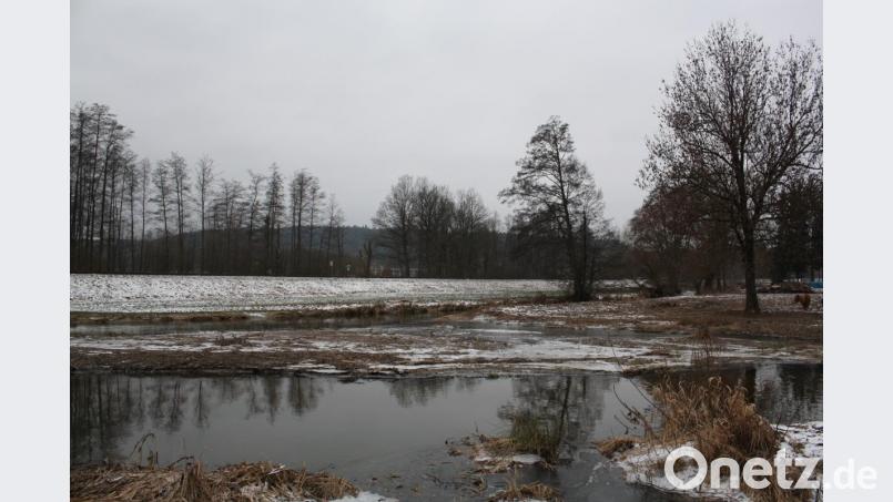 Nur zum Teil abgebaggert wurde die Sedimentinsel in der Haidenaab. Die Stadt hofft, dass sich das Wasserwirtschaftsamt doch noch für die Entfernung der gesamten Anlandung wie in den Jahren zuvor entscheiden wird. Bild. bjp Bild: bjp
