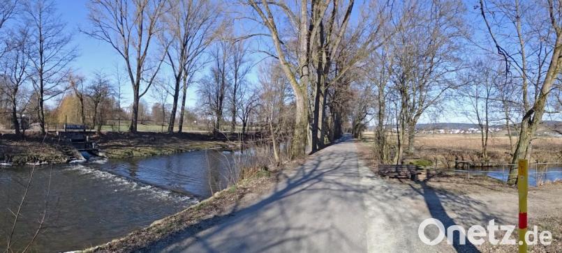 Aus der Waldnaab wurde der Kadaver des vermissten Kalbs nach Einschätzung der Einsatzkräfte in den Flutkanal (Bild) gespült. Bild: Dobmeier