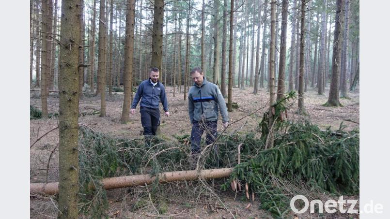Der Schneebruch in den Wäldern sollte sobald als möglich wegen drohendem Borkenkäferberfall aufgearbeitet werden, empfiehlt Revierförster Michael Forster (rechts). Bild: mmj