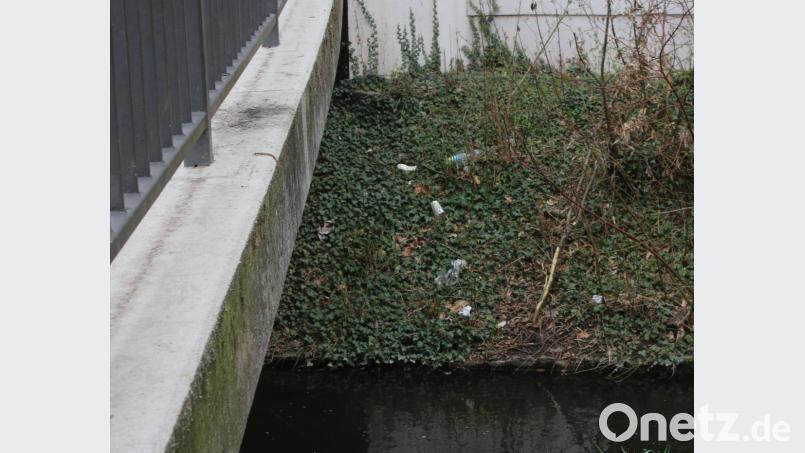 Auch wenn der Max-Reger-Park auf den ersten Blick sauber erscheint, findet sich auch hier in ein paar Ecken Plastikmüll. Bild: Stefan Neidl
