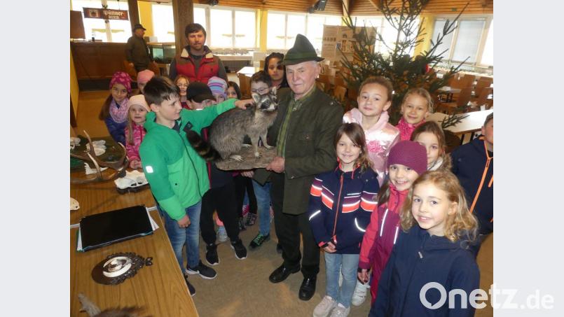 Einen Waschbär zu streicheln, ist für die Kinder ein ungewöhnliches Erlebnis. Bild: rn