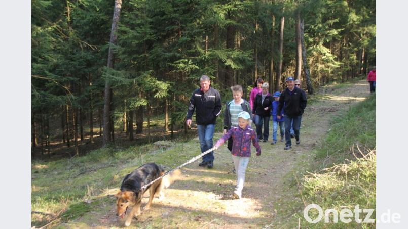 Auf zwei und sogar auf vier Beinen (im Vordergrund) ging es bei der Neuauflage des Oberviechtacher IVV-Wandertages auf die Strecken. Über 5,10 und sogar 21 Kilometer zeigte sich die Region bei bestem Frühlingswetter von ihrer schönsten Seite. Bild: frd