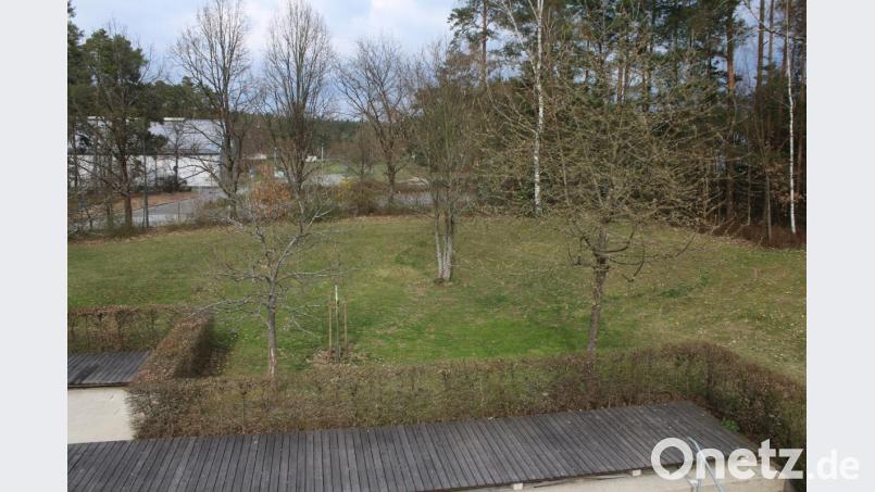 Die Wiese zwischen Sprungturm und Straße wird kaum noch genutzt. Hier könnte die Wasserrutsche stehen. Bild: sne