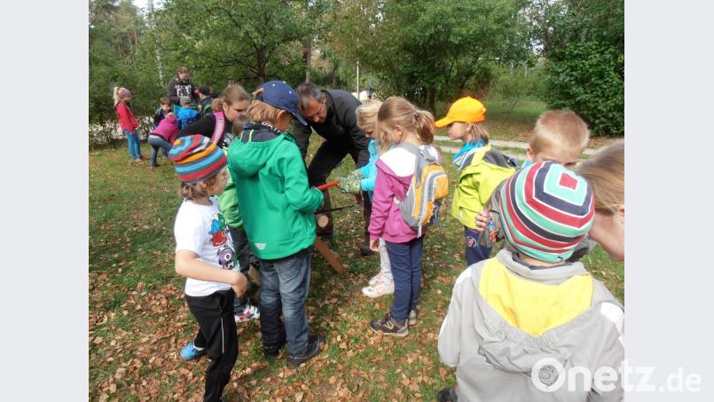 „Die Kinder haben Bewegung und lernen etwas Neues, Eltern werden entlastet“, beschreibt Edith Schatz den Sinn von Ferienprogrammen, hier ein Ausflug mit Förster Reinhold Weigert von den bayerischen Staatsforsten. Bild: privat