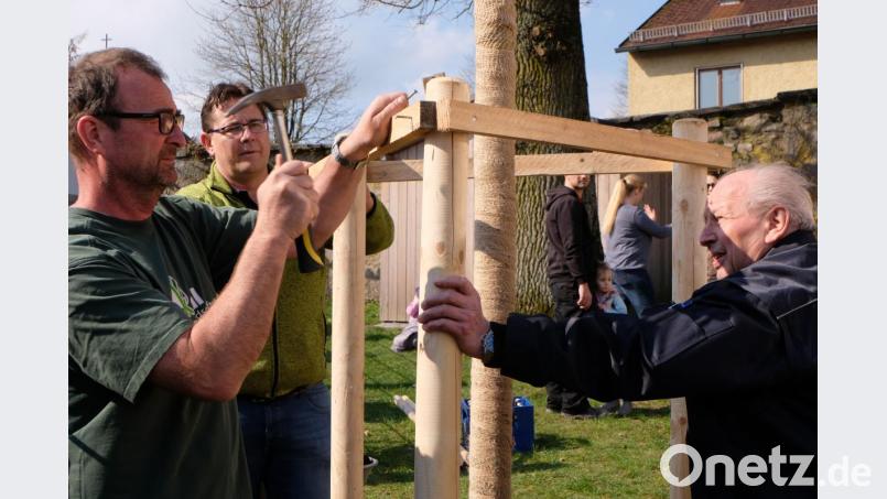 Für die fachmännische Arbeit sorgten Landschaftsgärtner Roland Lauterbach mit FDP/UB-Fraktionsmitglied Oliver Mutterer und Baumspender Klaus Winkler (von links ). Bild: le
