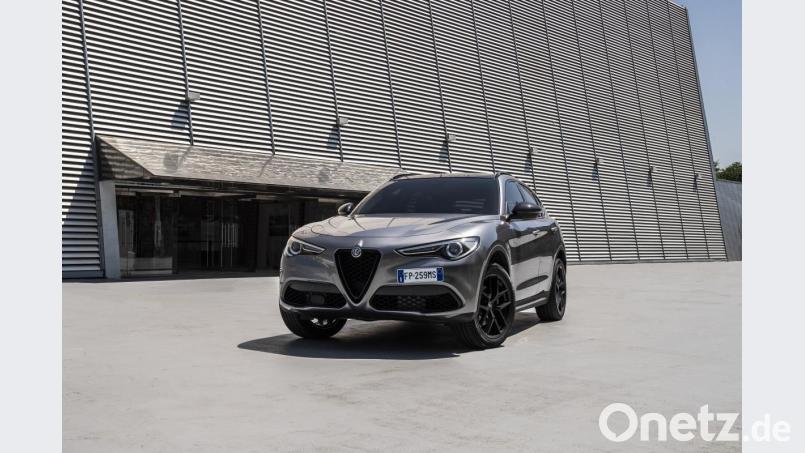 Alfa Romeo Stelvio Bild: FCA