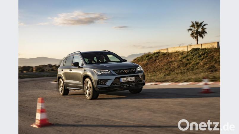 Cupra Ateca Bild: Seat