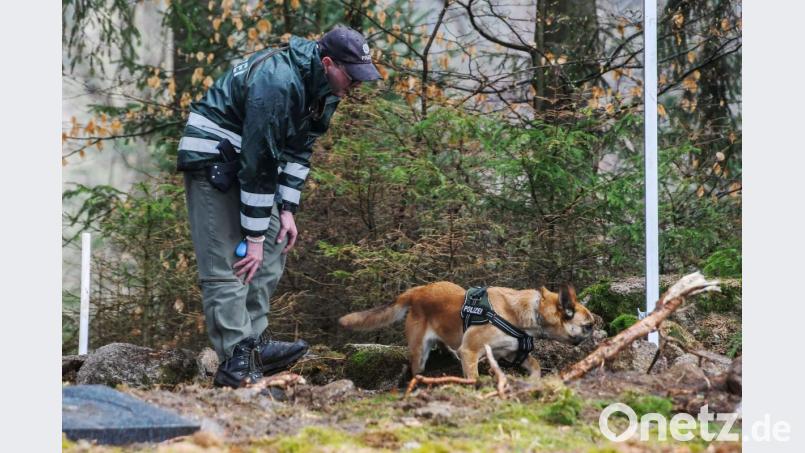 Einsatz für „Rosi“: Der Leichensuchhund läuft über das Grabungsfeld. Zwar ist nach so langer Zeit von Knochen auszugehen, bei luftdichter Lagerung wäre aber auch ein Leichenfund nicht ausgeschlossen. Bild: Armin Weigel dpa
