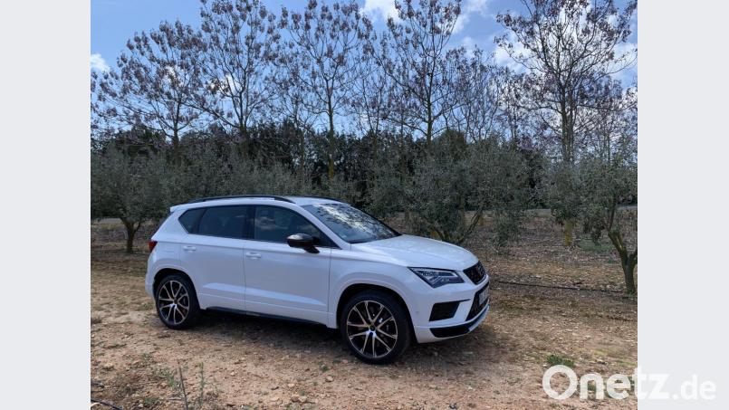 Cupra Ateca Bild: Michael Ascherl