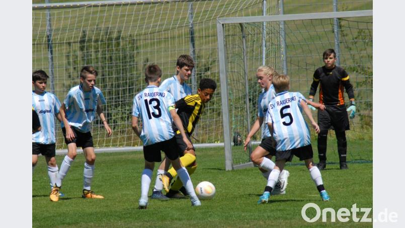 16 Nachwuchs-Mannschaften sind im Spielbetrieb. Laut Gesamtjugendleiter Christoph Grabinger sollen sich alle ersten Teams in der Bezirksoberliga etablieren. Bild: gth