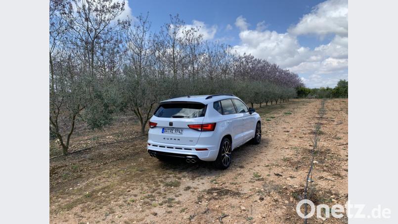 Cupra Ateca Bild: Michael Ascherl