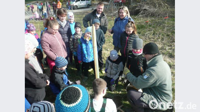 Förster und Bauhofmitarbeiter zeigten die Kinder, wie Bäume gepflanzt werden. Die Buben und Mädchen waren begeistert bei der Sache. Bild: amö