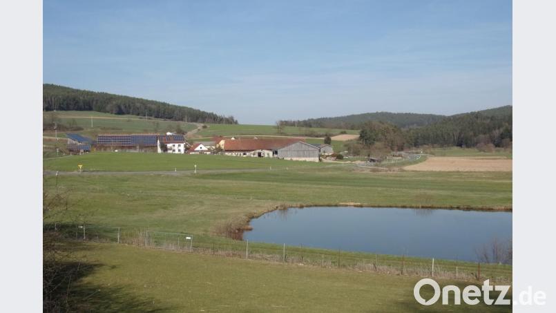 Im Bereich der Ortschaft Siegelsdorf wird eine Flurneuordnung durchgeführt. Die dafür notwendigen Baumaßnahemen beginnen 2020. Bild: bnr
