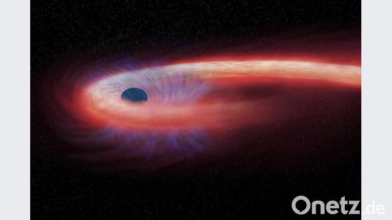 Diese grafische Darstellung zeigt einen Stern, der von einem schwarzen Loch geschluckt wird und dabei einen roten Schweif aus Röntgenstrahlen hinter sich lässt. Foto: M.Weiss/NASA/Chandra X-ray Observatory/AP Bild: M.Weiss