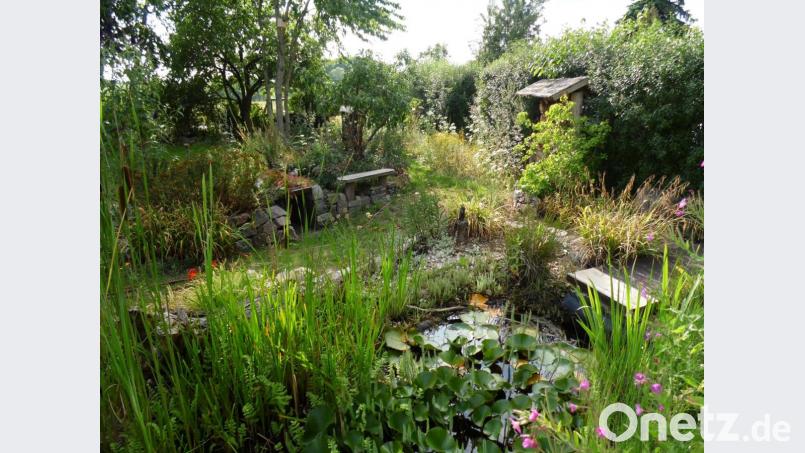 Vielfältige Elemente schaffen ein reiches Nahrungsangebot für Insekten und Vögel den ganzen Sommer über. Bild: Daniel Jakumeit