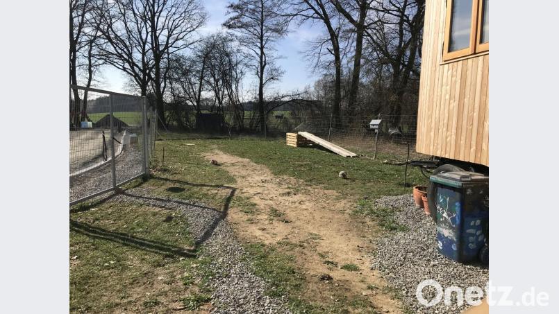 Ein nacktes Baugrundstück, aus dem einmal ein Naturgarten werden soll. Bild: eig